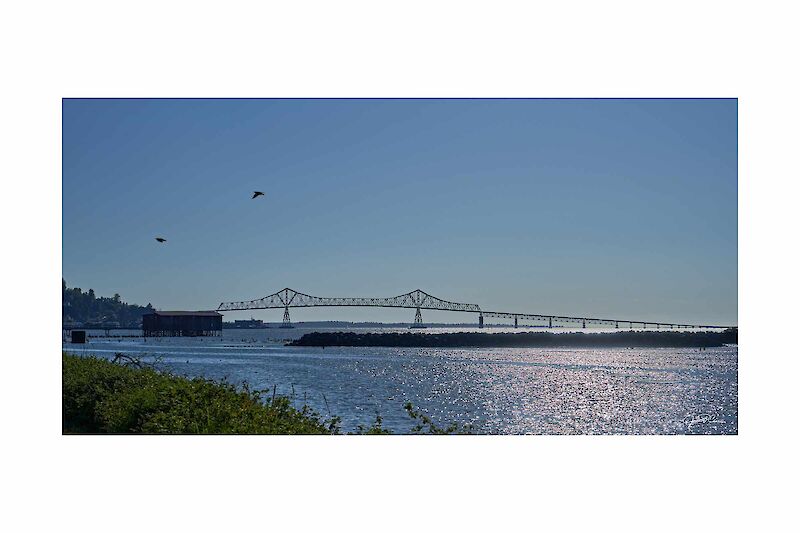 The Astoria-Megler Bridge near the mouth of the Colmbia River